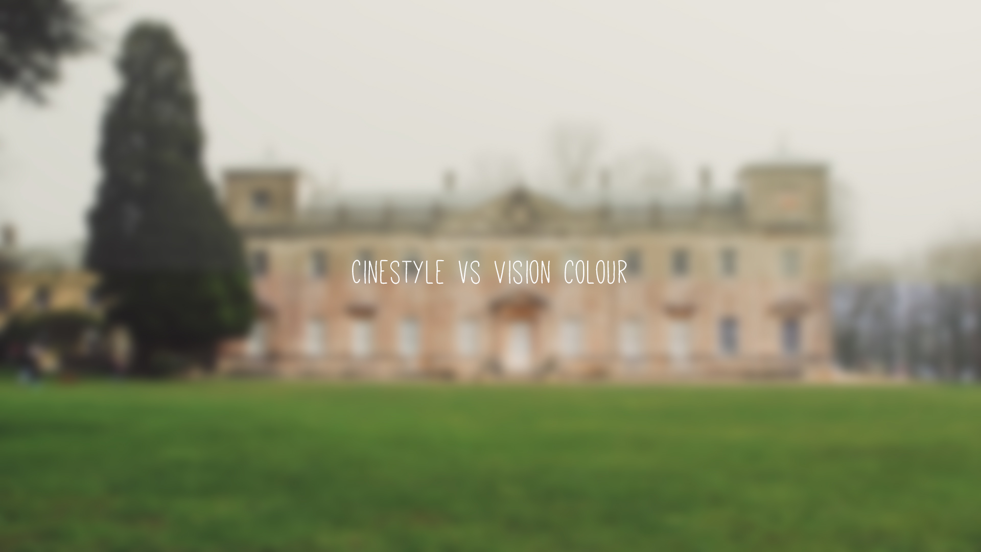 Cinestyle vs Vision Colour